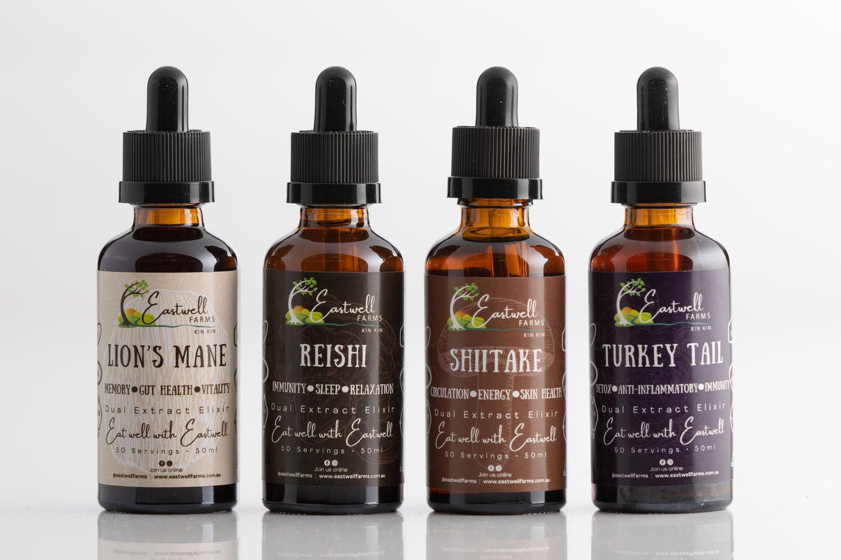 Functional Four Bundle