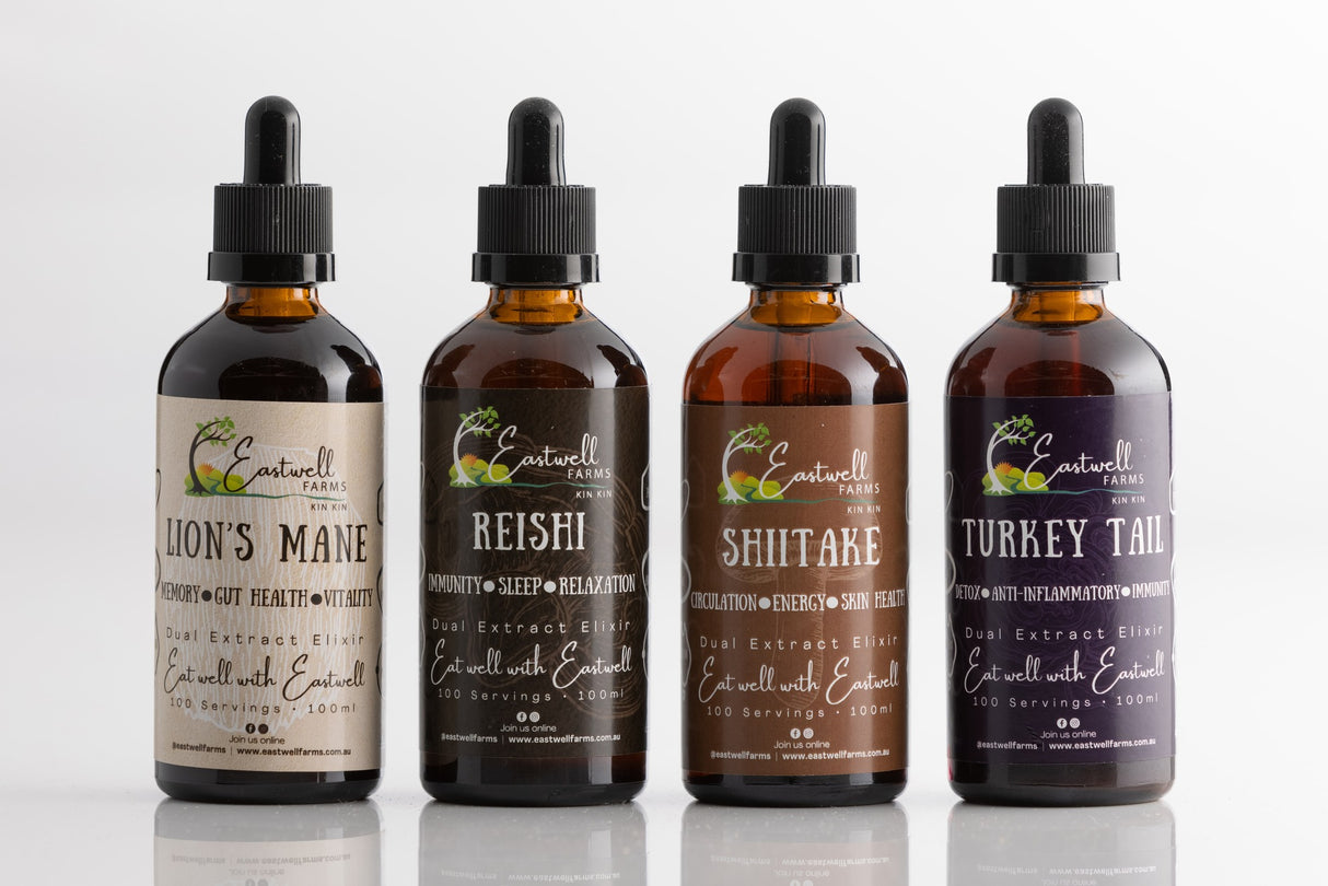 Functional Four Bundle