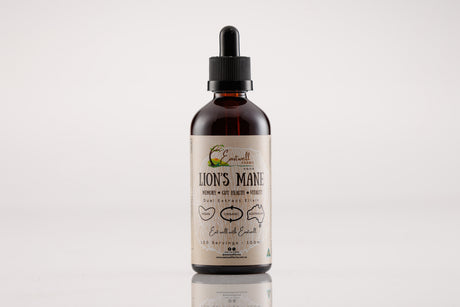 Lion's Mane Dual Extract